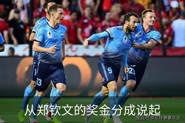 从郑钦文的奖金分成说起